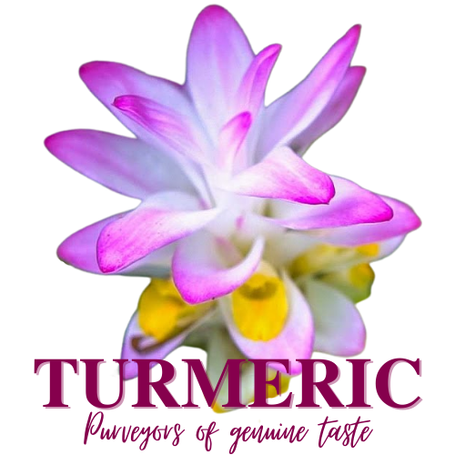 Turmeric Indian Restaurant Photos 2