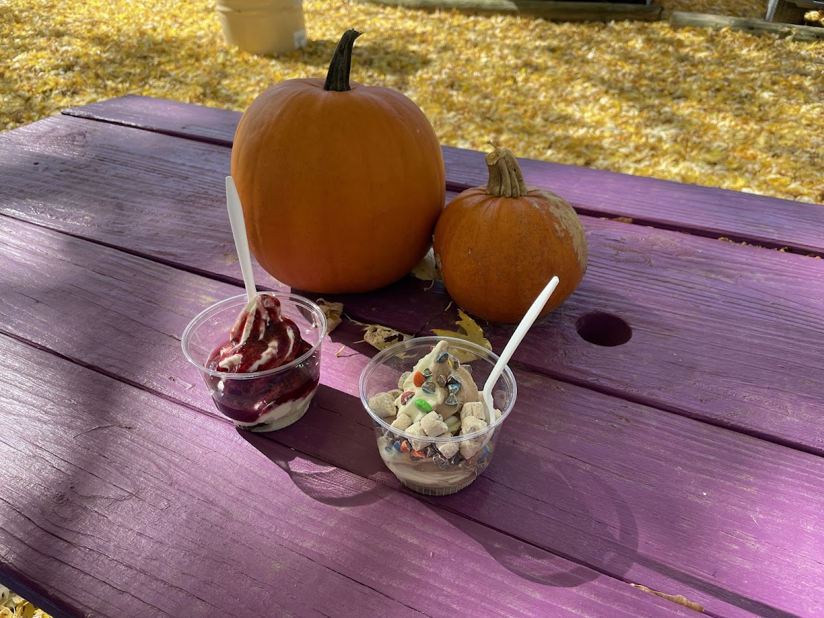 Twin Peaks Ice Cream Llc Photos 9