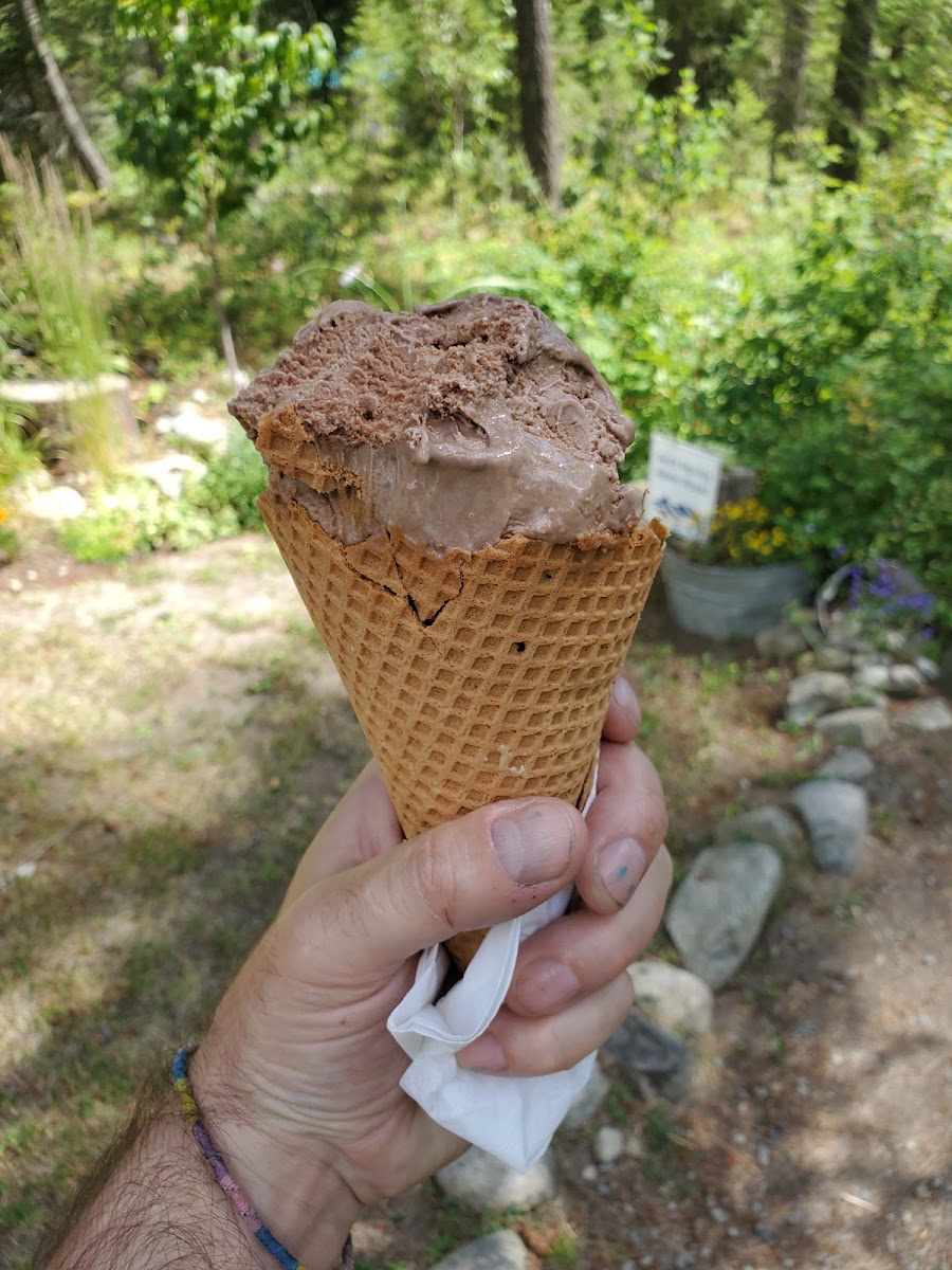 Two Scoop Steve Photos 9