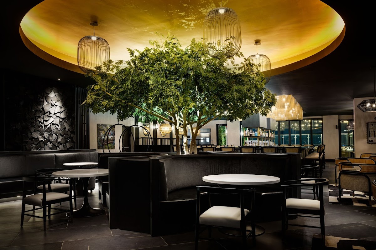 Urban Oak Rooftop Bar & Lounge