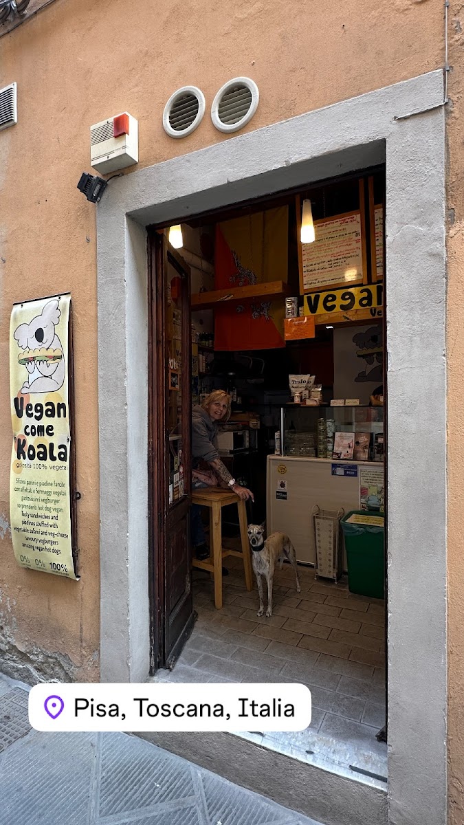 Vegan Come Koala Photos 2