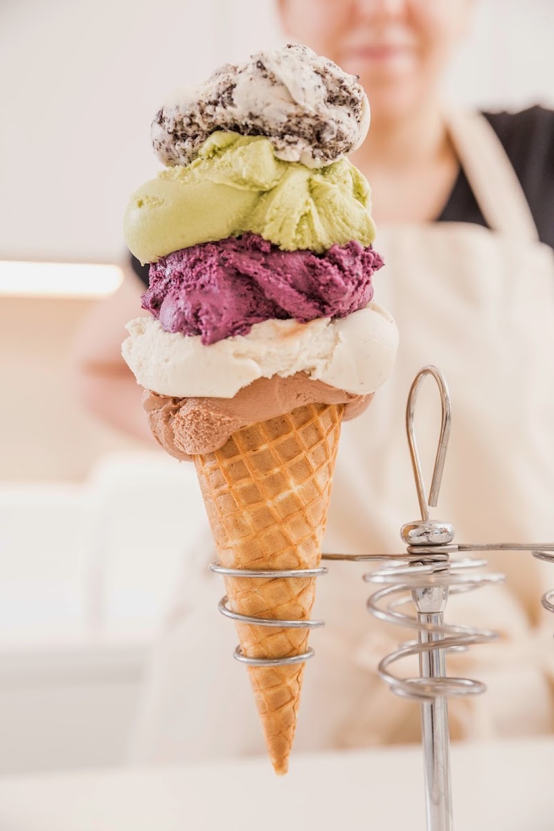 Veganista Ice Cream Photos 2