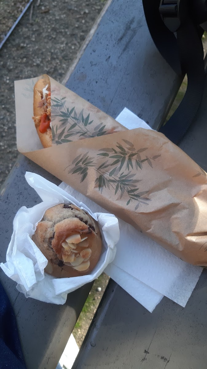 Velo Vege Photos 2