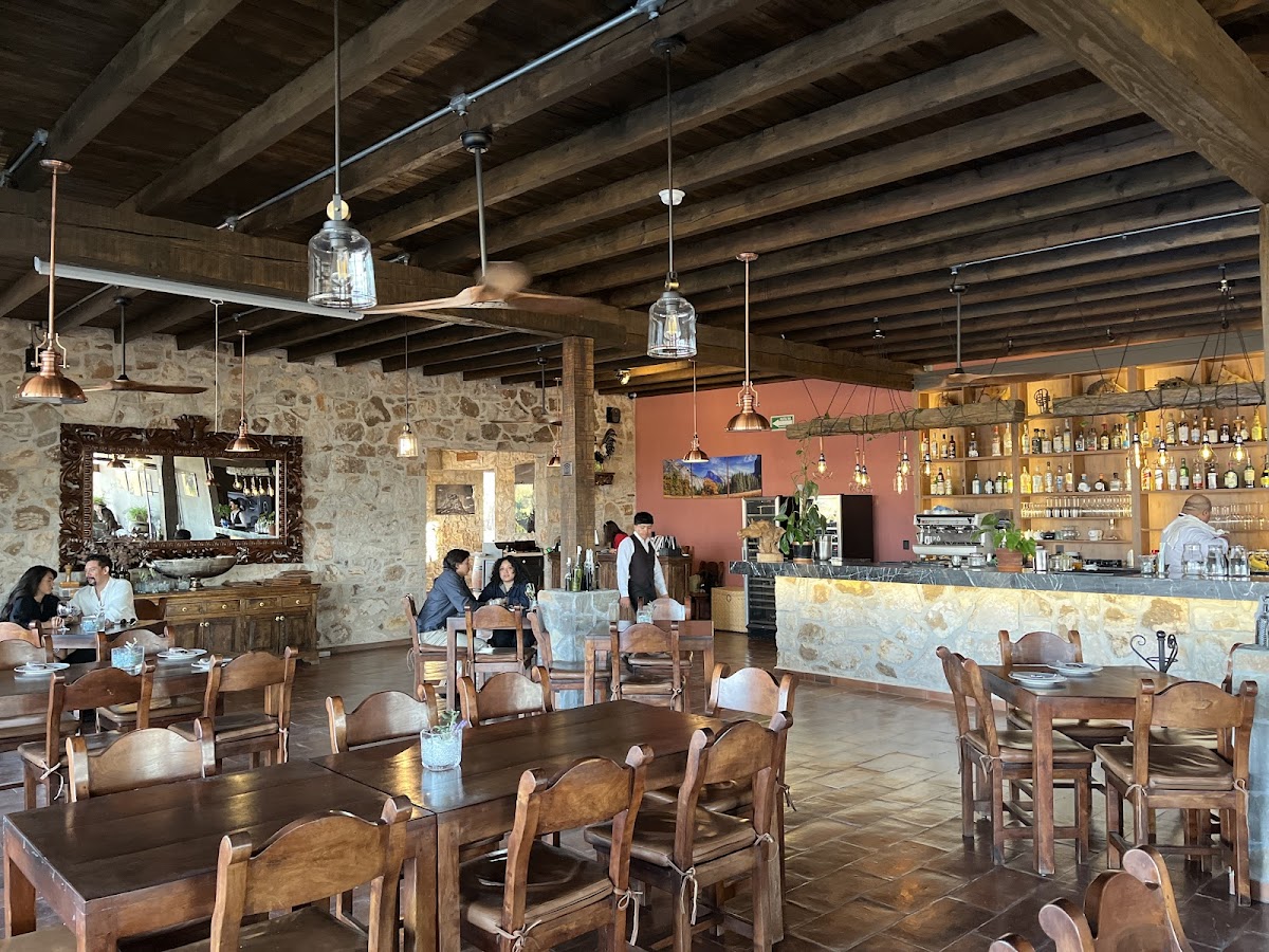 Viñedo Bocca Lupo