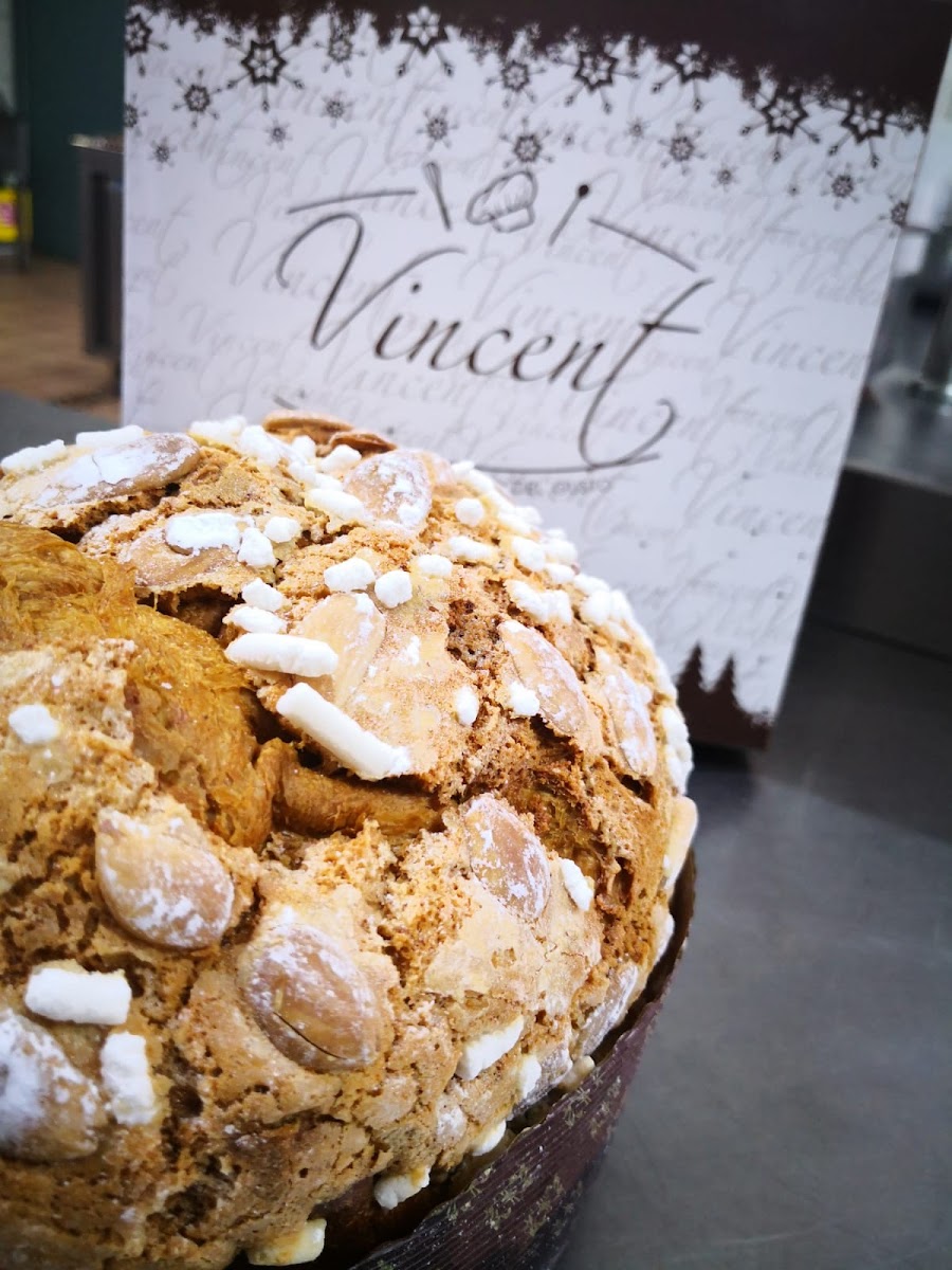 Vincent Gelateria Yogurteria Torteria Photos 9