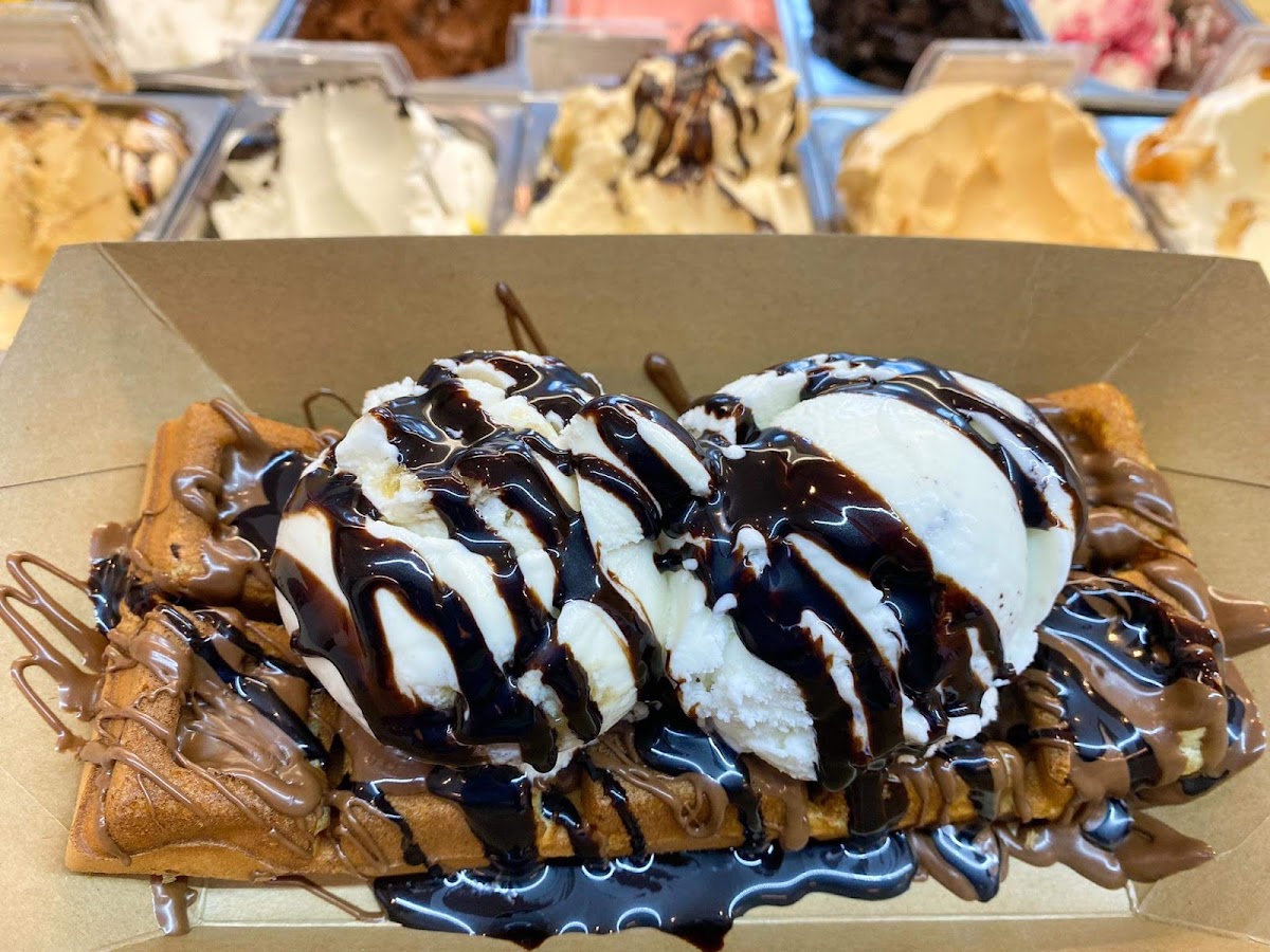 Vitorino Gelato Photos 2