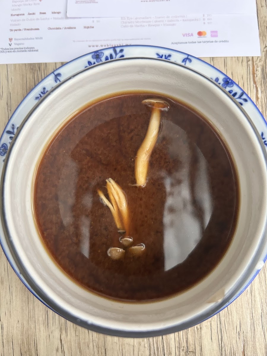 Wabi Sushi Photos 9