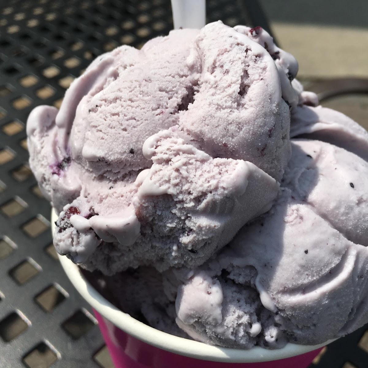 Walpole Creamery Photos 2