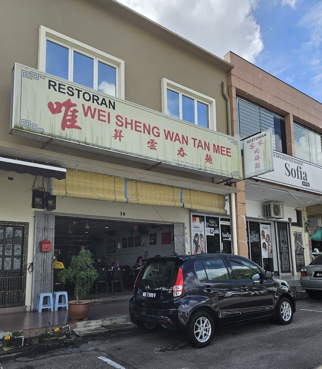 Wei Sheng Wan Tan Mee
