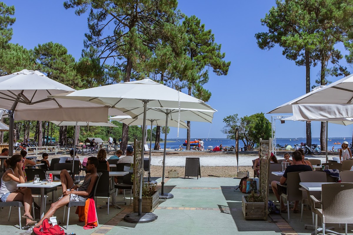 Wild Café By Ucpa