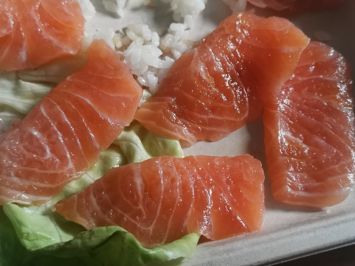 Yamamoto Sushibar Photos 9