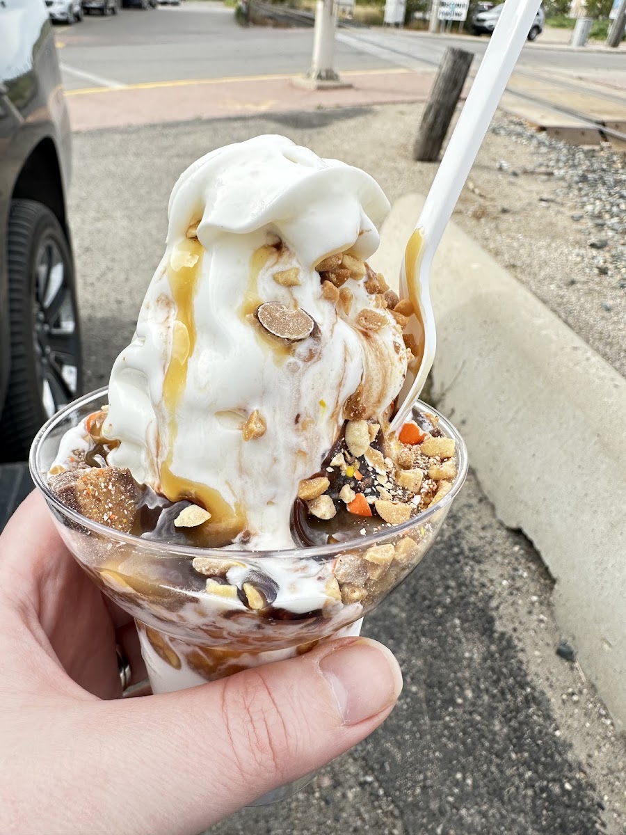 Ydb Scoops Photos 9