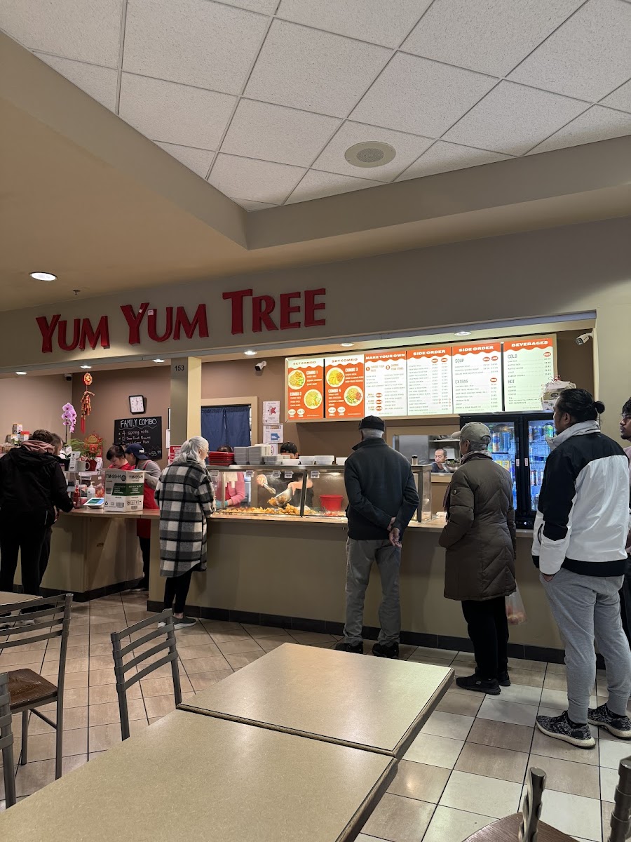 Yum Yum Tree Photos 2
