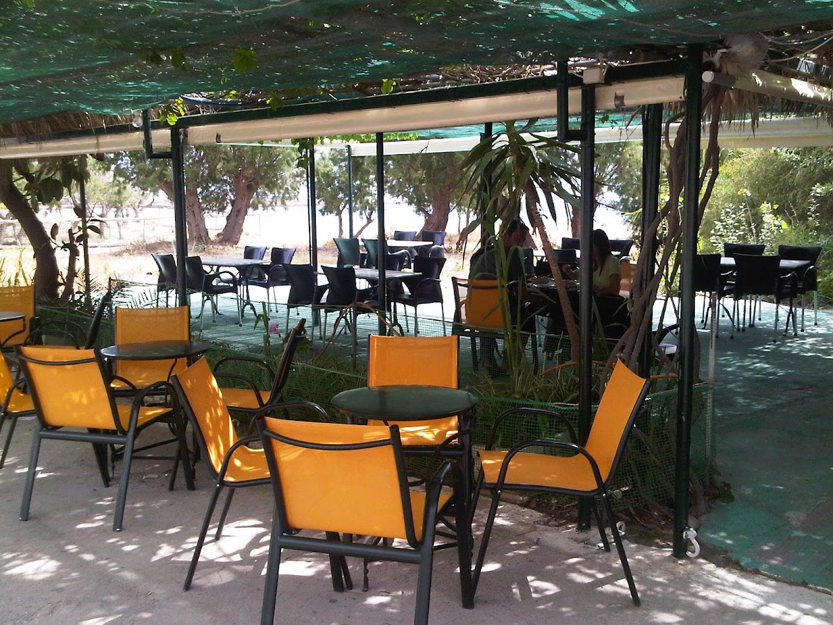 Zygos Cafe Snack-Bar